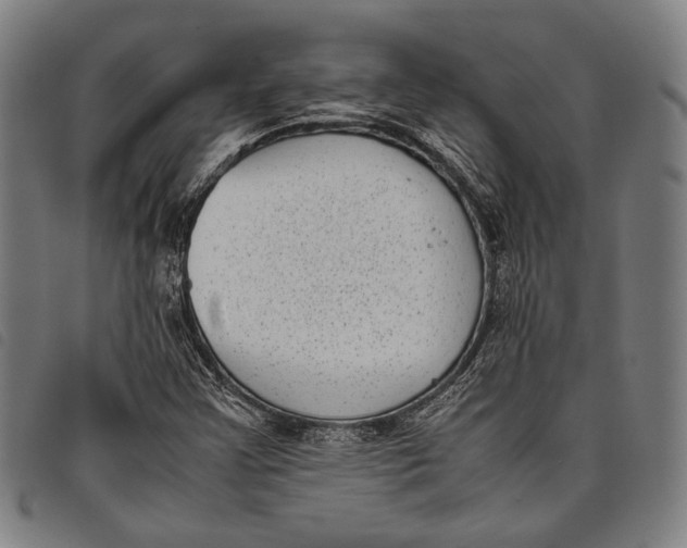 X0000097821355200804041349