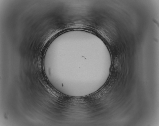 X0000097821356200804041349