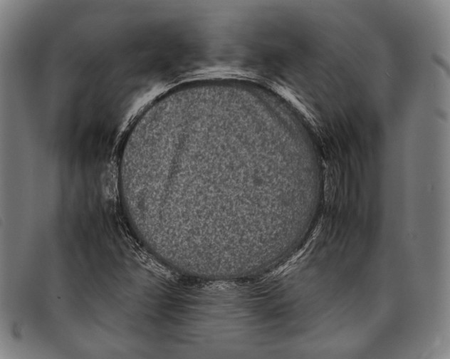 X0000097821358200804041349