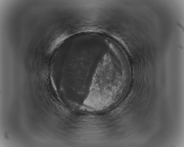 X0000097821359200804041349