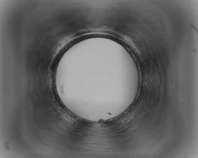 X0000097821360200804041349