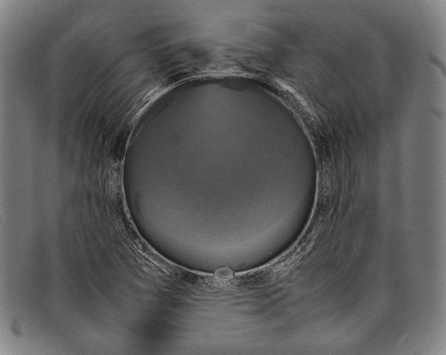 X0000097821361200804041349