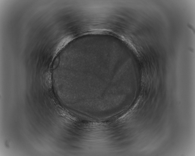 X0000097821362200804041349