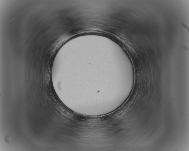 X0000097821363200804041349