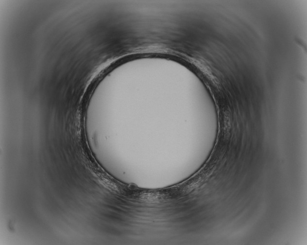 X0000097821364200804041349