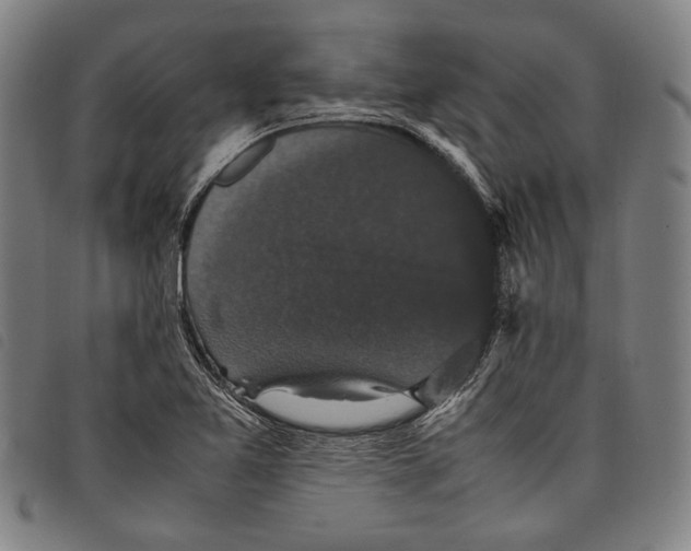 X0000097821365200804041349