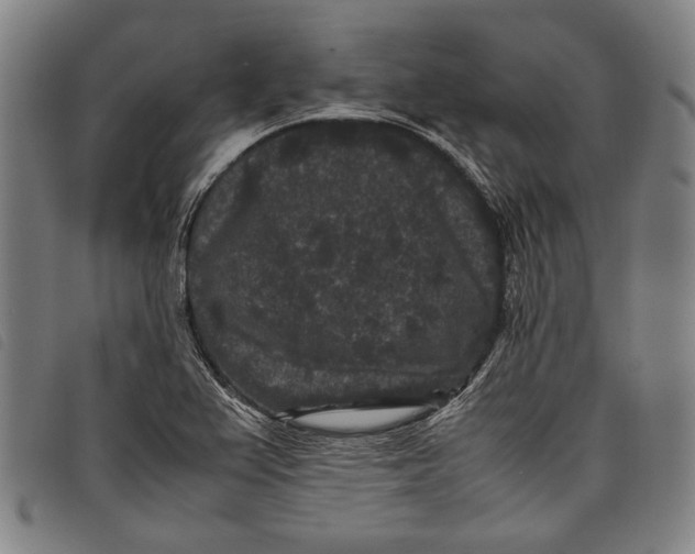 X0000097821367200804041349