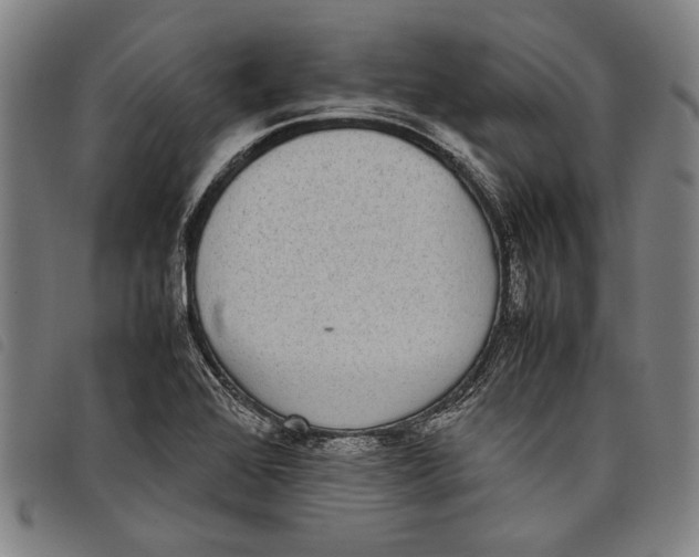 X0000097821368200804041349