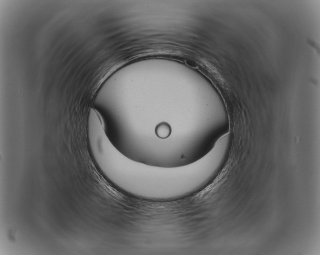 X0000097821369200804041349