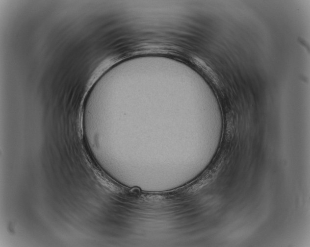 X0000097821370200804041349