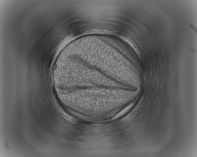 X0000097821371200804041349