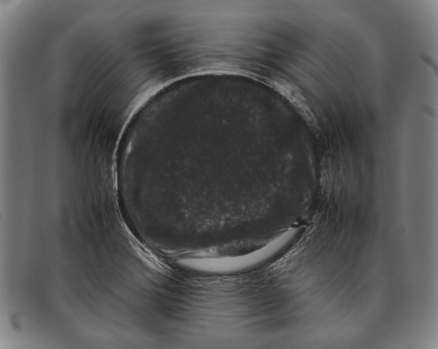 X0000097821372200804041349