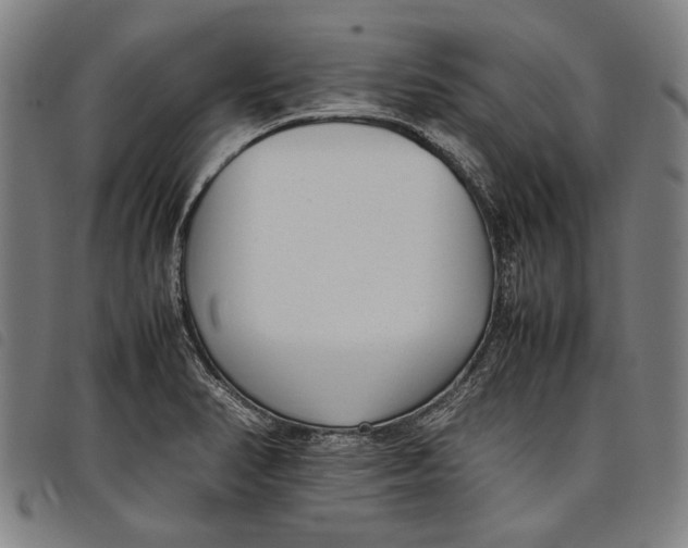 X0000097821374200804041349