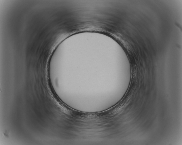 X0000097821375200804041349