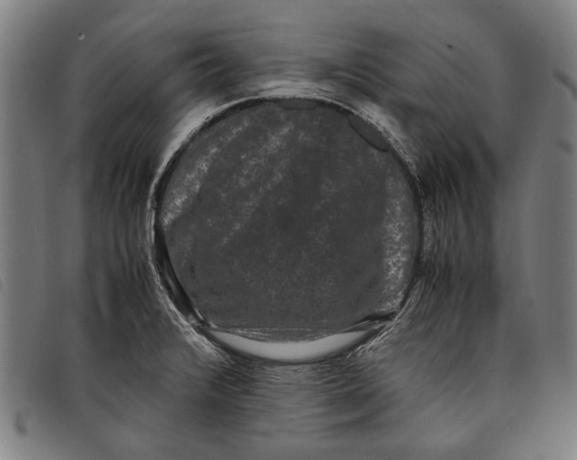 X0000097821376200804041349