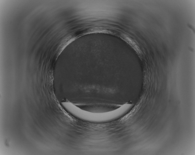 X0000097821377200804041349