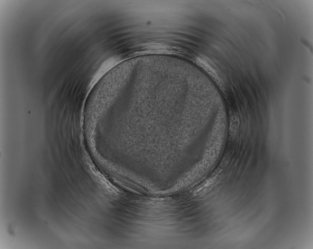 X0000097821378200804041349