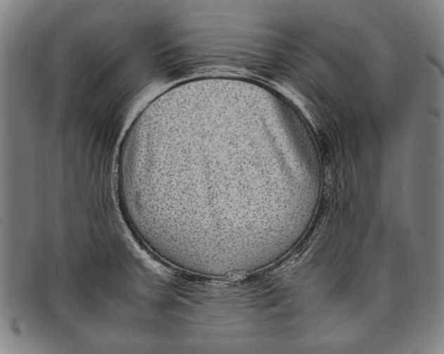 X0000097821379200804041349