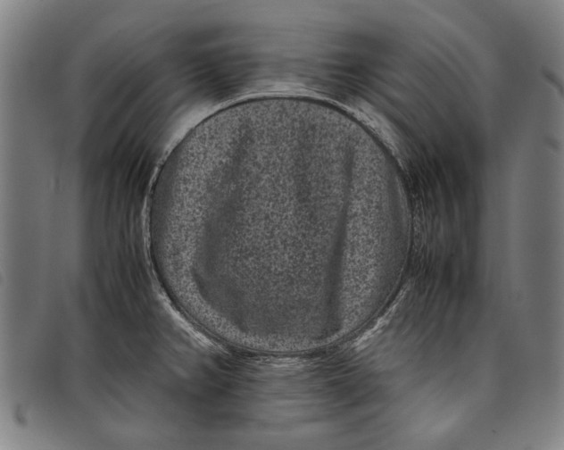 X0000097821382200804041349