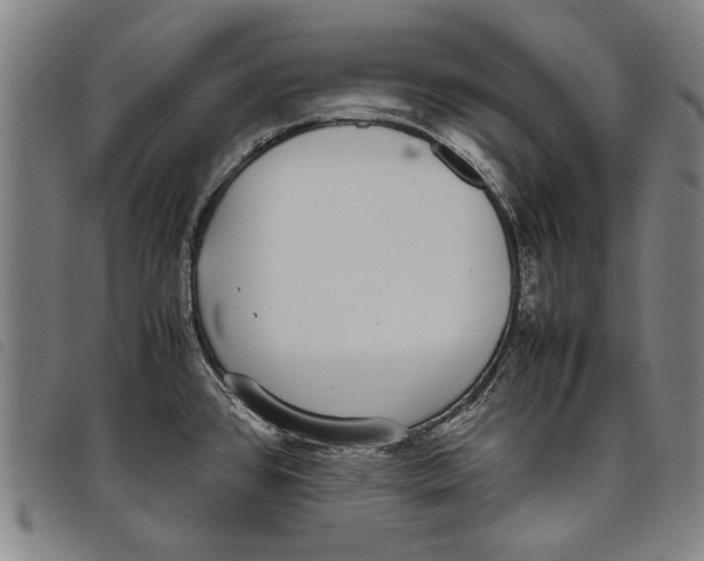 X0000097821384200804041349