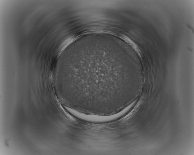 X0000097821385200804041349