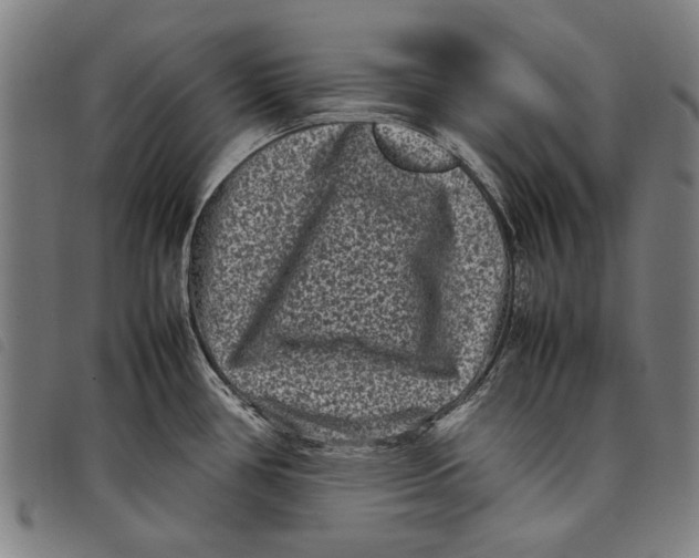 X0000097821386200804041349