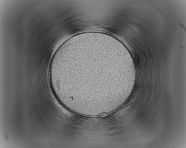 X0000097821387200804041349