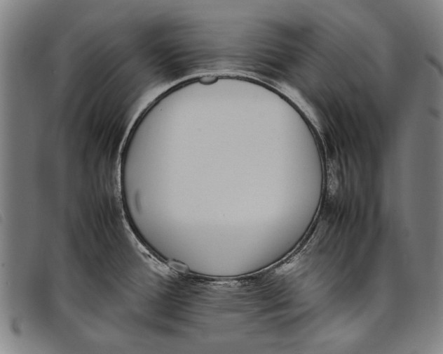 X0000097821388200804041349