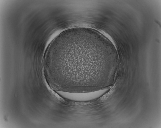 X0000097821389200804041349