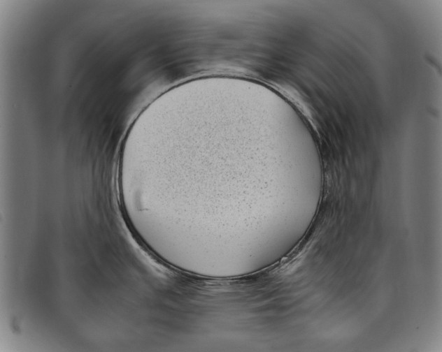 X0000097821391200804041349