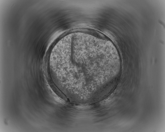 X0000097821392200804041349