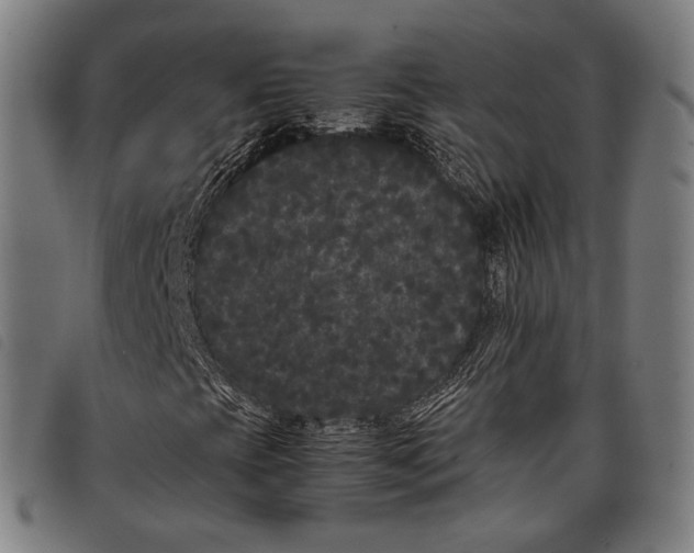 X0000097821393200804041348