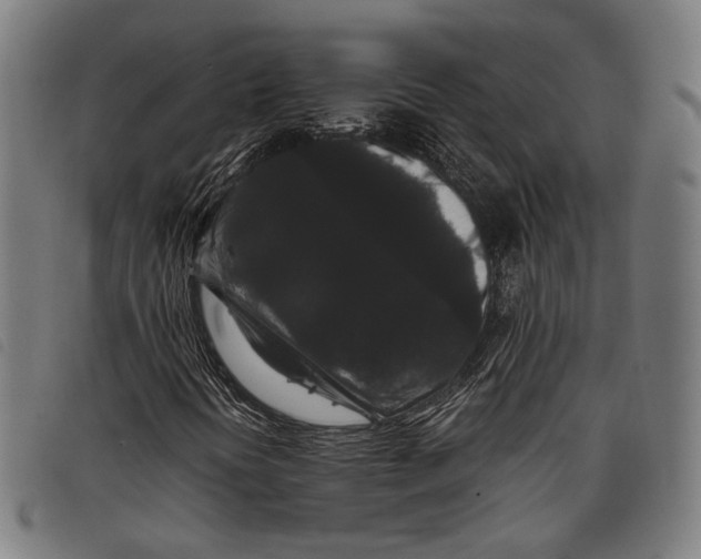 X0000097821394200804041348