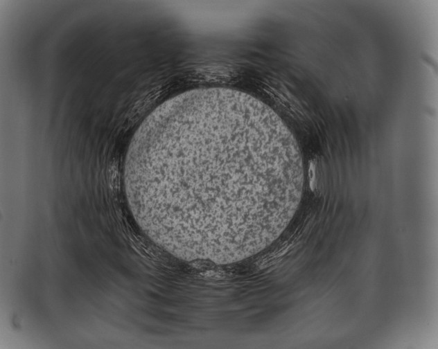 X0000097821395200804041348