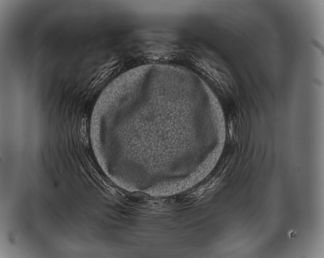 X0000097821396200804041348