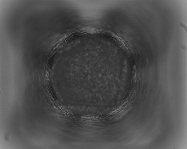 X0000097821397200804041348