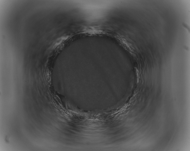 X0000097821398200804041348