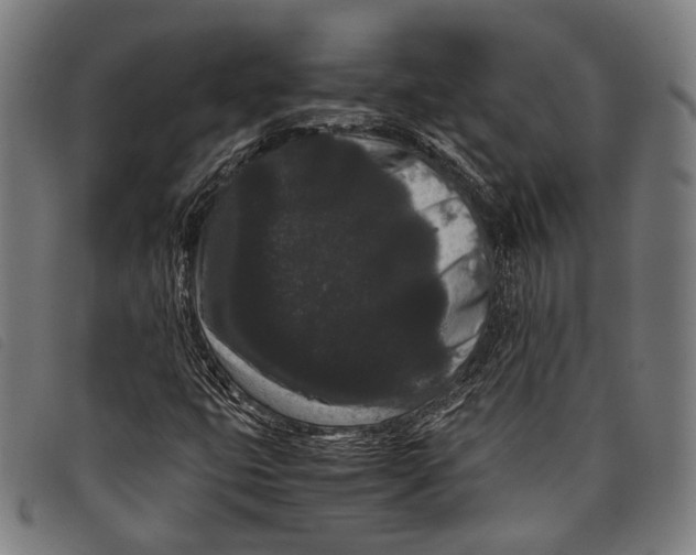 X0000097821399200804041348