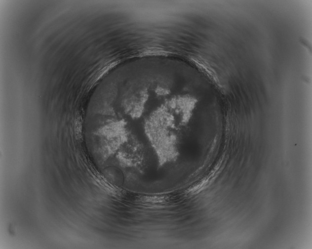 X0000097821401200804041348