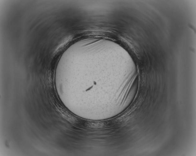 X0000097821403200804041348