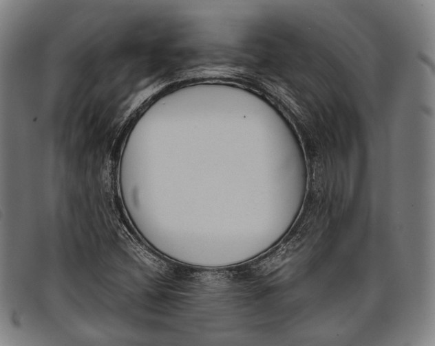 X0000097821404200804041348