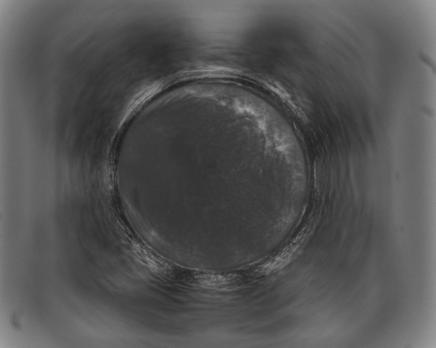 X0000097821405200804041348