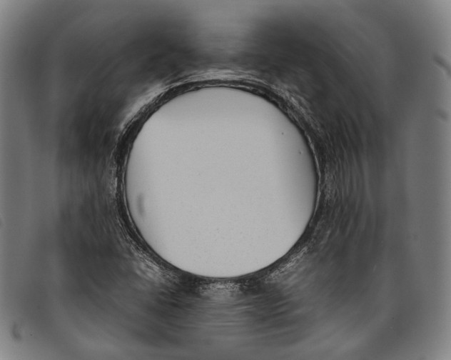 X0000097821406200804041348