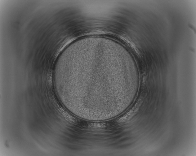 X0000097821409200804041348