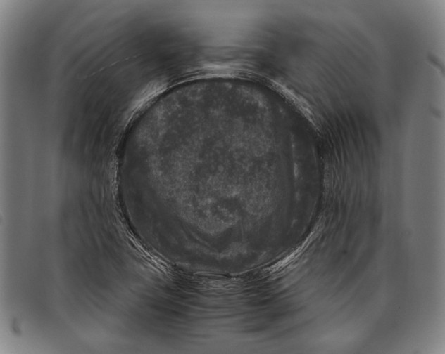 X0000097821411200804041348