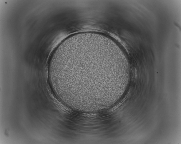 X0000097821415200804041348