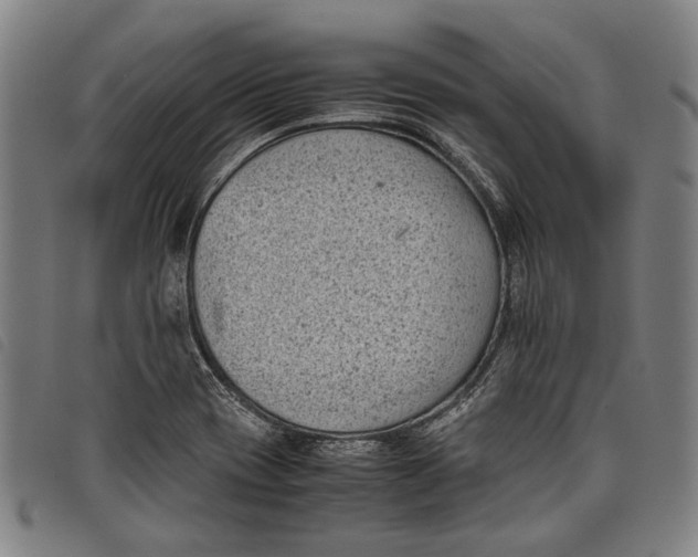 X0000097821417200804041348