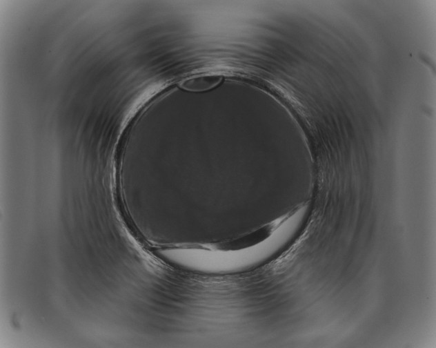 X0000097821418200804041348