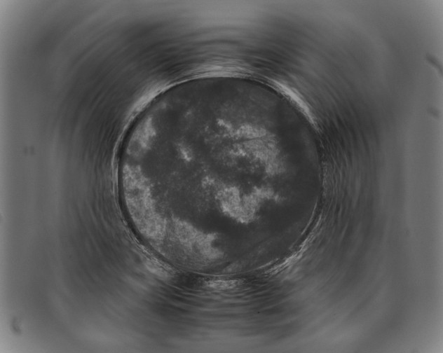 X0000097821419200804041348