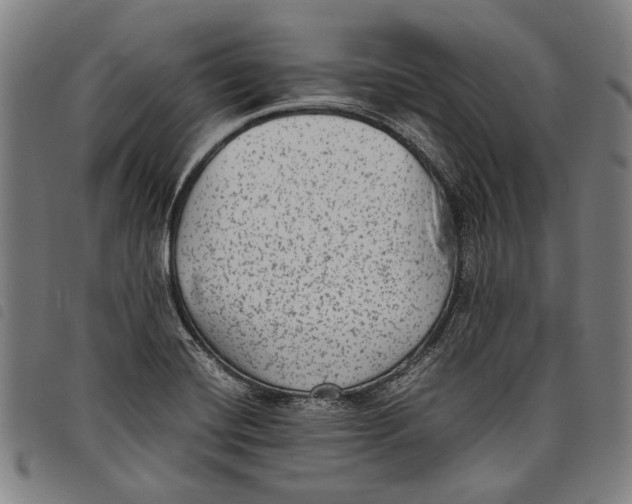 X0000097821420200804041348